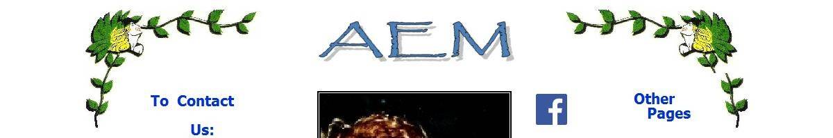 Aemclinics Glenroy