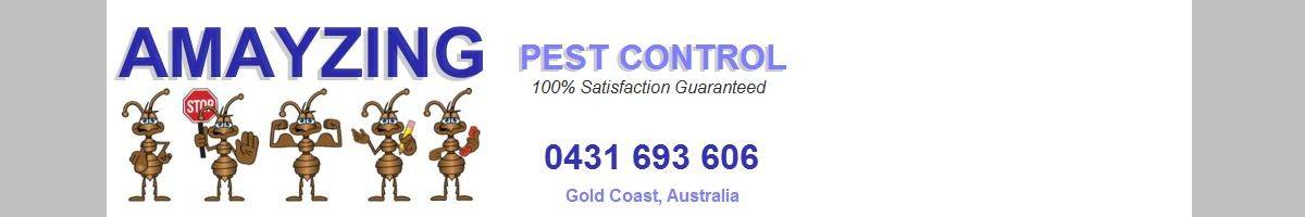 Amayzing Pest Control Biggera Waters