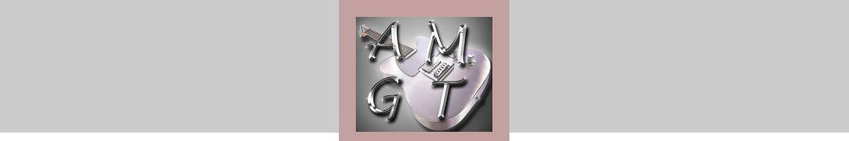 Andy Mayne Guitar Tuition Rose Bay