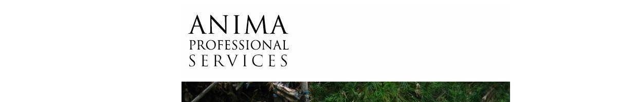 Dr Eng Lim Anima Professional Services Pty Ltd Balmain