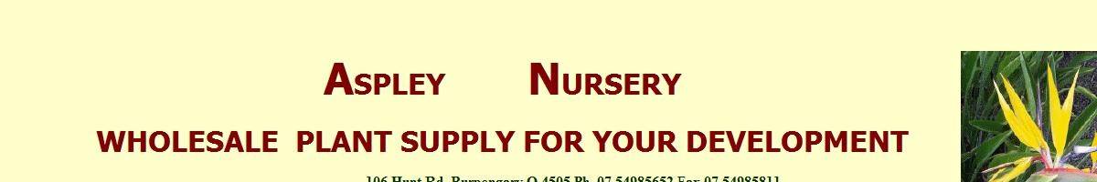 Aspley Nursery Burpengary