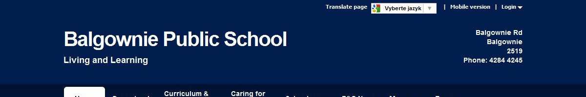Public School Balgownie