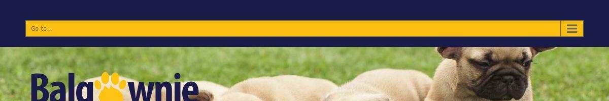 Veterinary Hospital Balgownie