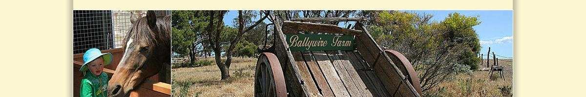 Ballywire Farm Tearooms Yorketown