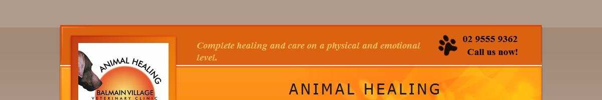 Village Veterinary Clinic Balmain