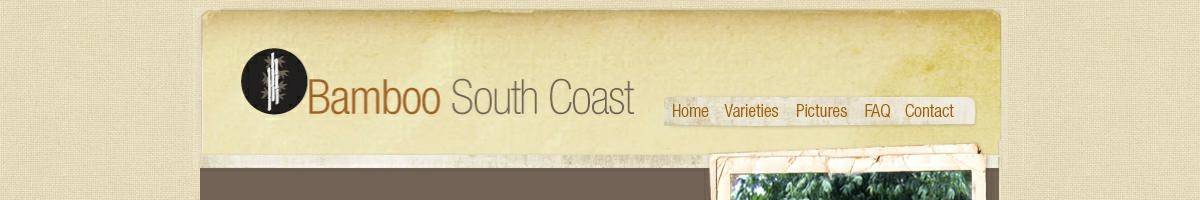 Bamboo South Coast Coolangatta