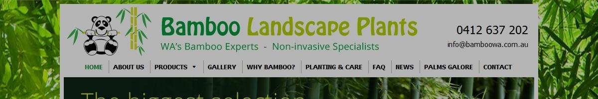 Bamboo Landscape Plants Wattleup