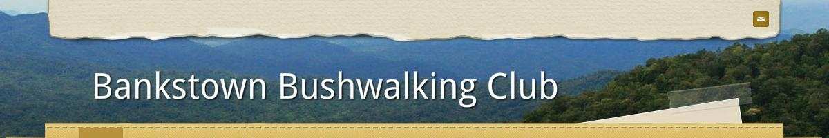 Bankstown Bushwalking Club In Mount Lewis