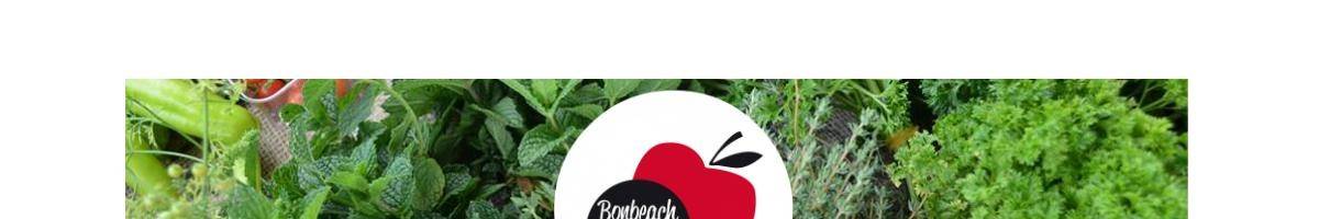 Farmers' Market Bonbeach