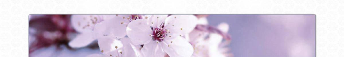 Capri Beauty Clinic Bundall