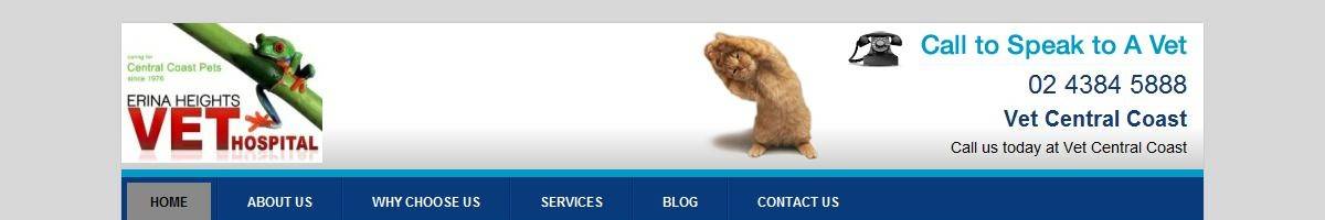 Vet Central Coast Wamberal
